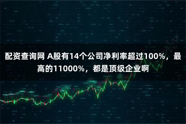 配资查询网 A股有14个公司净利率超过100%，最高的11000%，都是顶级企业啊