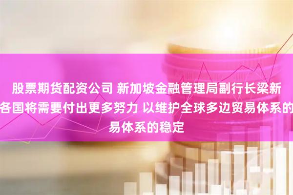 股票期货配资公司 新加坡金融管理局副行长梁新松：各国将需要付出更多努力 以维护全球多边贸易体系的稳定
